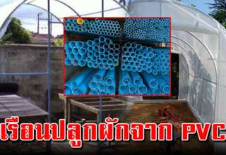 วิธีทำโรงเรือนปลูกพืชผัก ด้วยท่อ PVC ใช้ดีแข็งแรง แถมประหยัดงบ