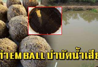 วิธีทำ EM Ball แบบละเอียด สำหรับปรับสภาพน้ำในบ่อ